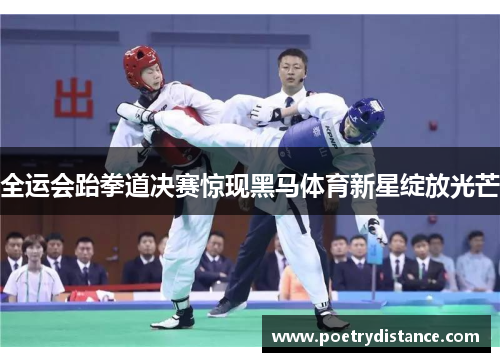 全运会跆拳道决赛惊现黑马体育新星绽放光芒